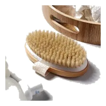 Beauty Bristle Hair Brush - Dt 1 pc